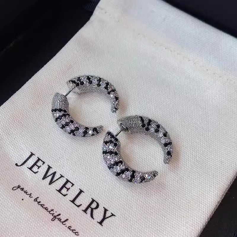 خمر الجبهة الخلفية الزركون الق - مراجعة Street Fashion Earrings وسعره